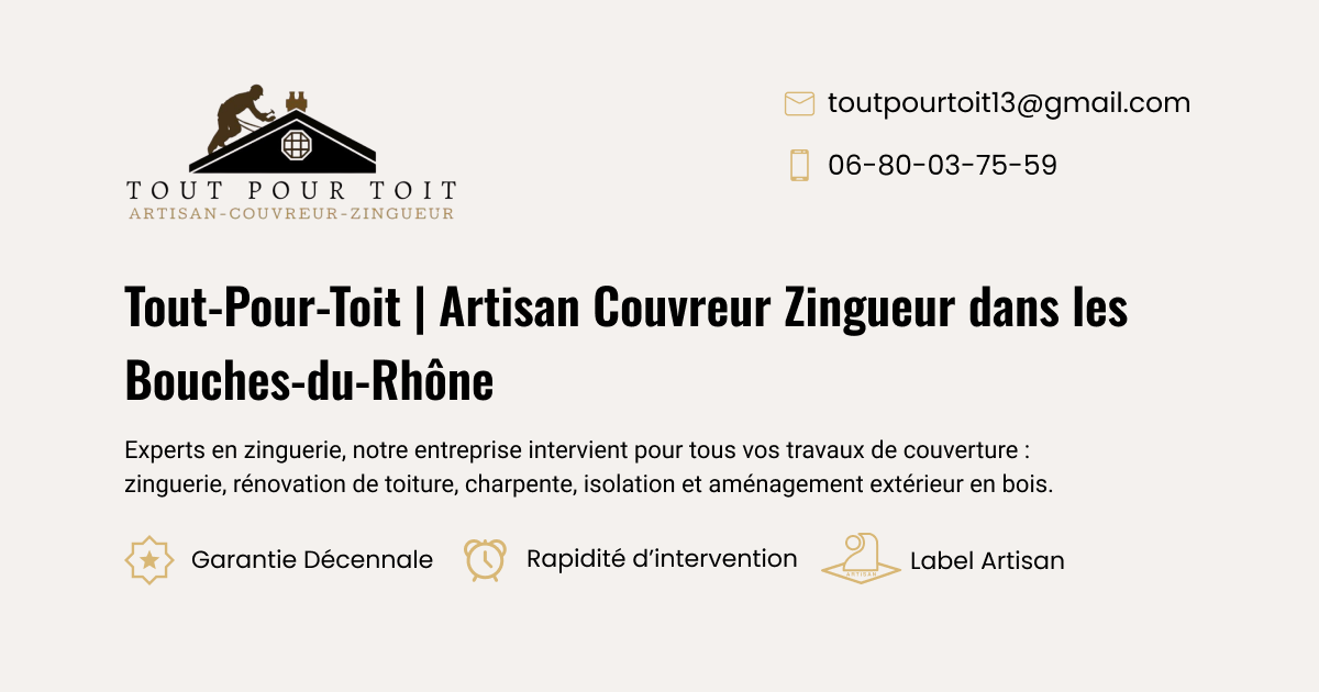 Aperçu du site de TOUT POUR TOIT